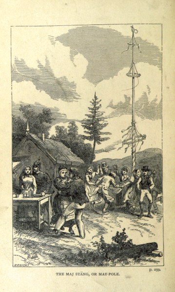 Peasant Life in Sweden ... Illustrated