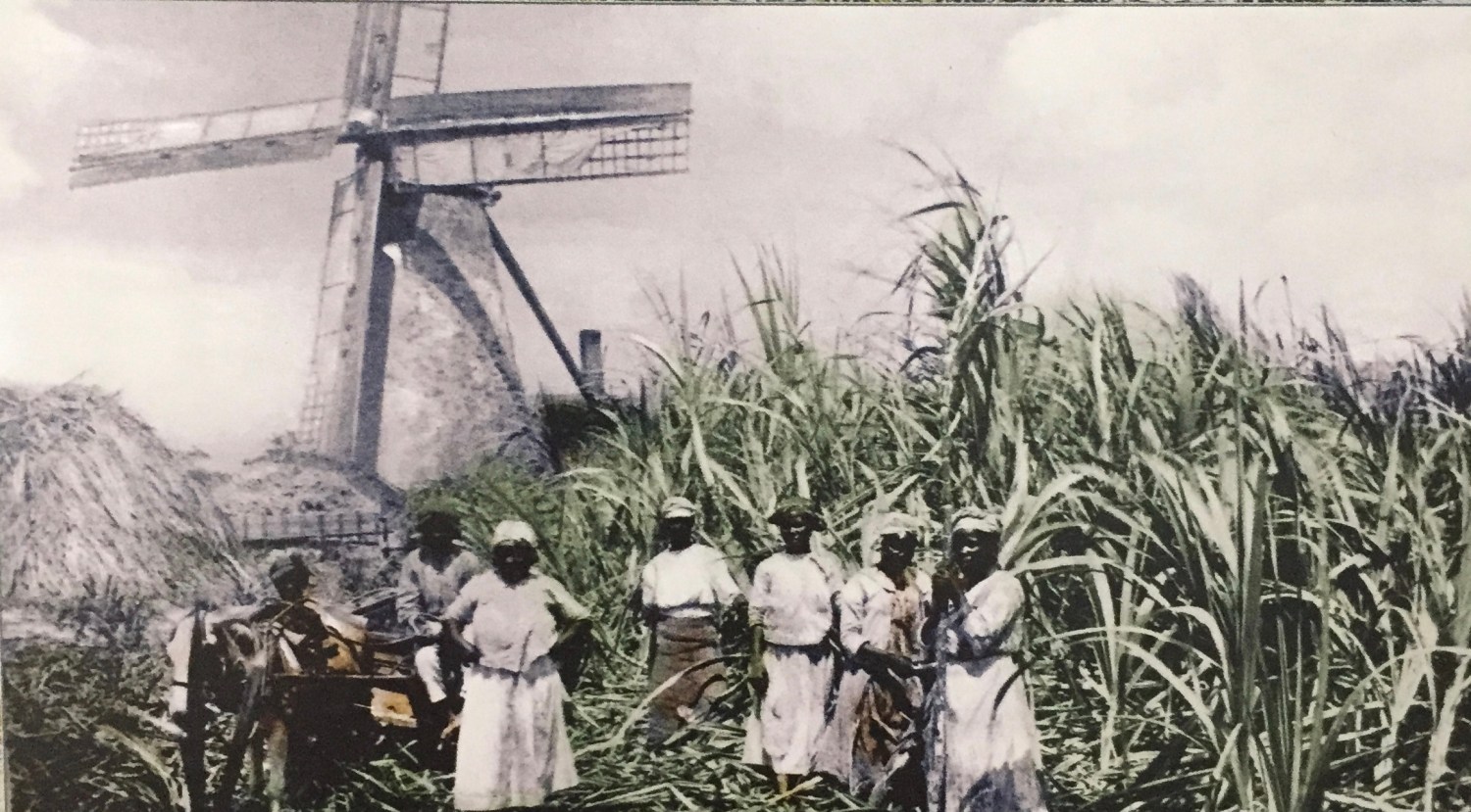 The Life of Indentured Servants in Colonial Barbados – Cryssa Bazos